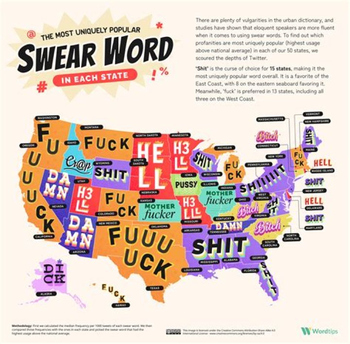What bad words are in sandlot?