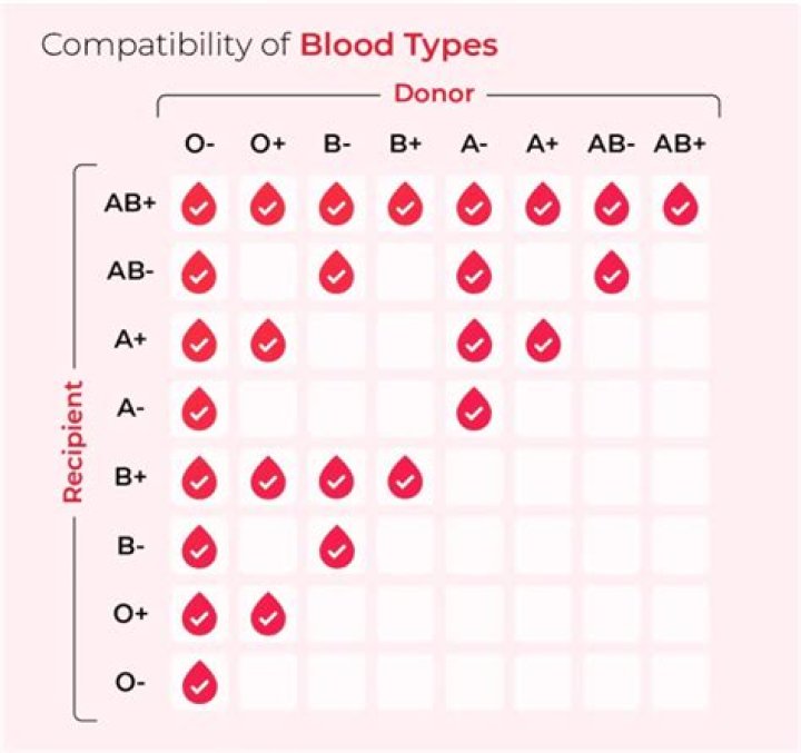 What blood types go well together?