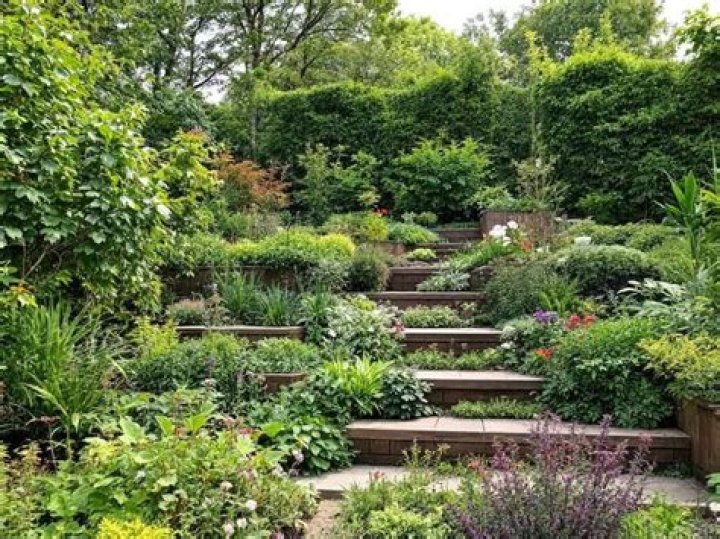 What can I do with a tiered backyard?