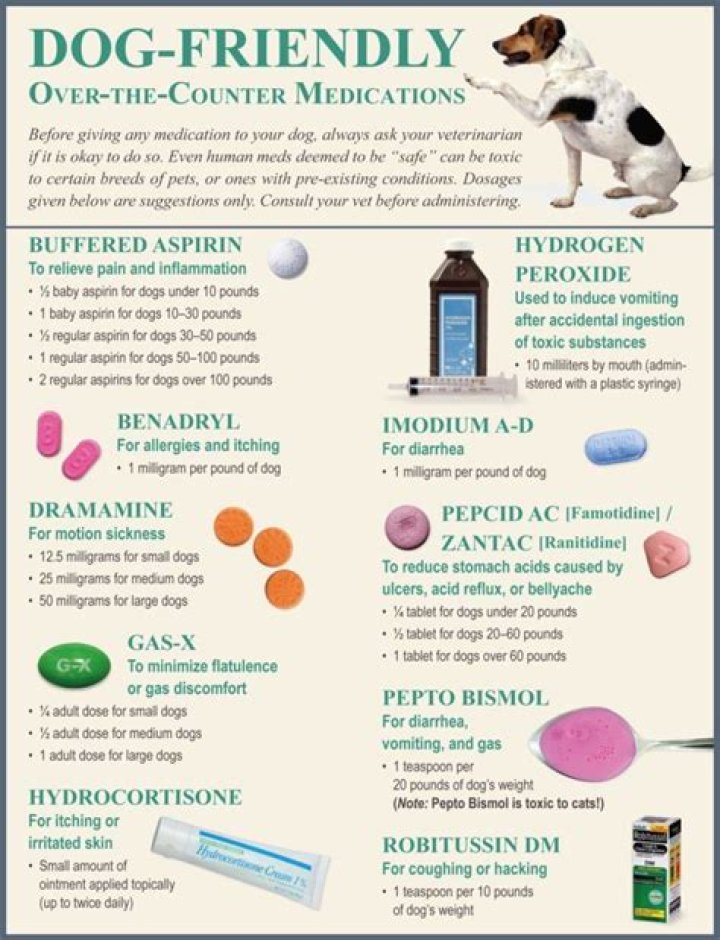 What can I give my dog to dry up her milk?