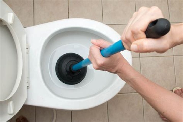 What can I pour down the toilet to unclog it?