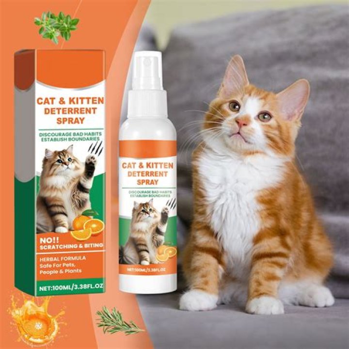 What can I spray to repel cats?