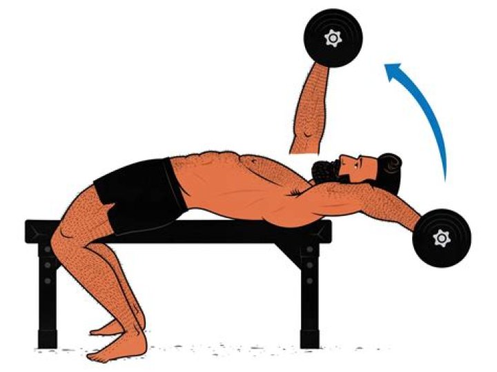 What can I use instead of dumbbell pullovers?