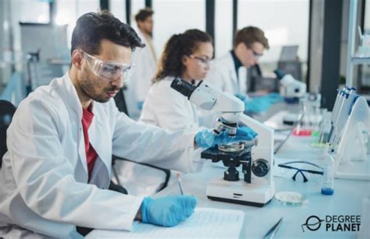 What can you do with a Master of Science in medical Sciences?