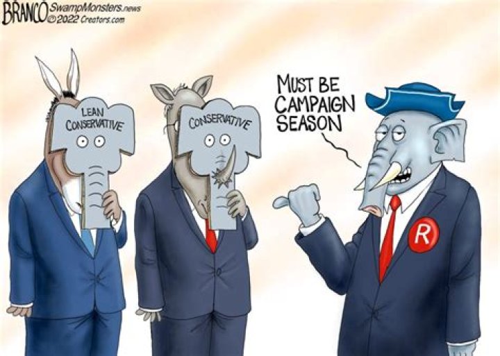 What cartoons are politically incorrect?