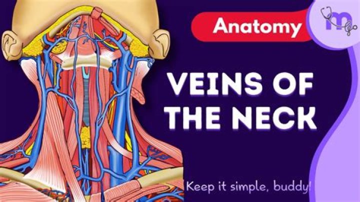 What causes enlarged veins in the neck?