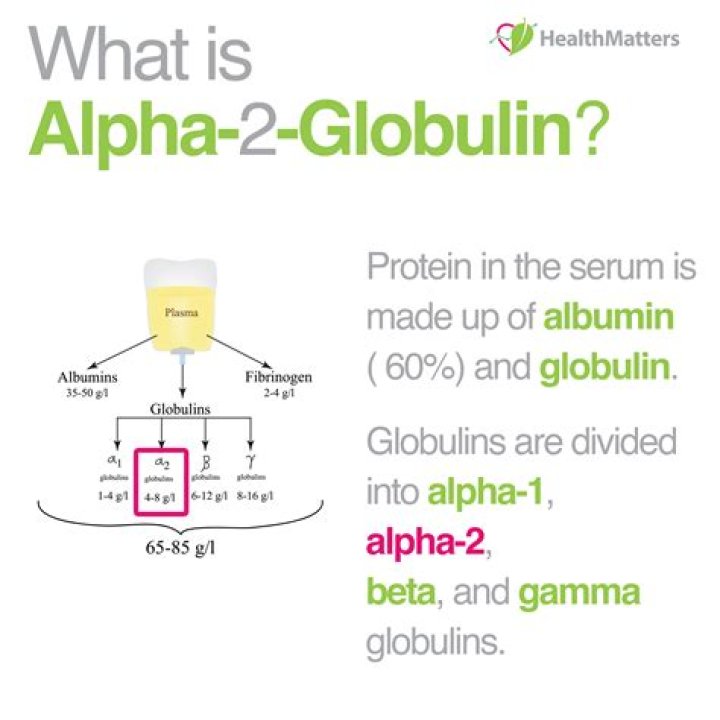 What causes increased alpha-2 globulin?