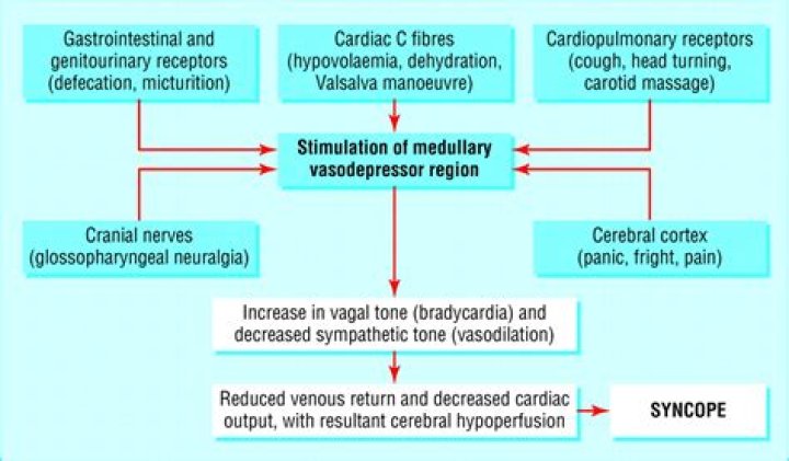 What causes neurocardiogenic syncope?