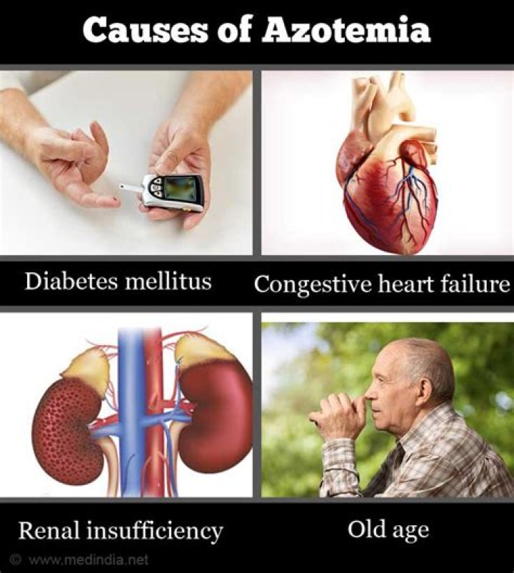 What causes post renal azotemia?