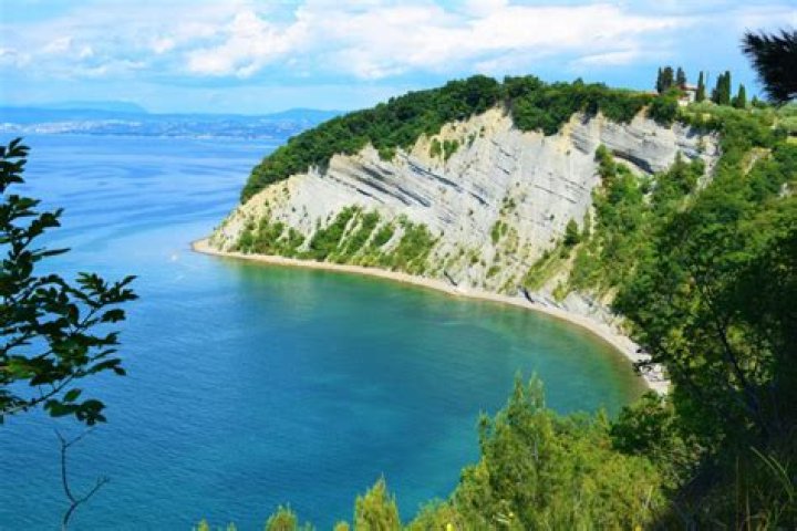 What climate does Slovenia have?