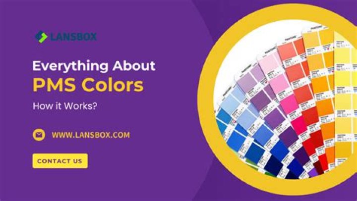 What color is PMS 125?