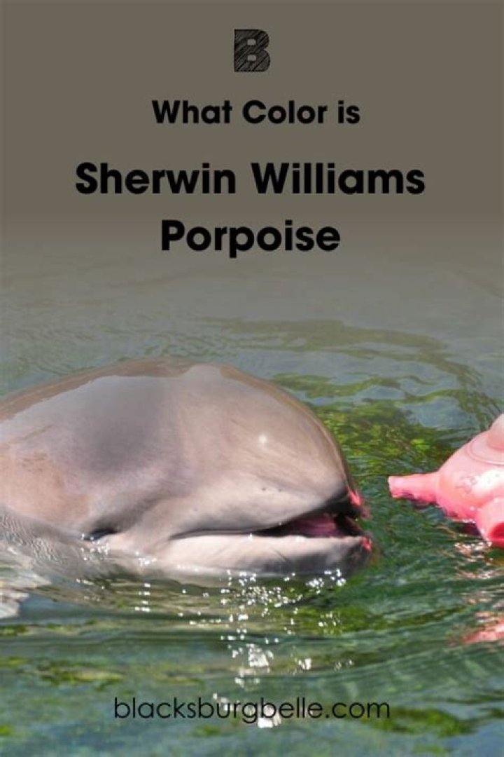What color is Sherwin Williams porpoise?