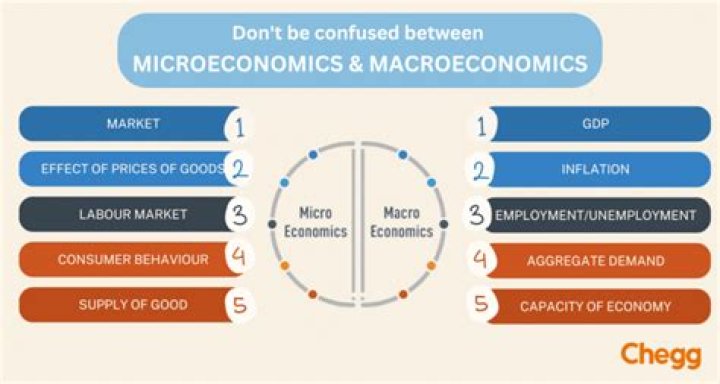 What comes first micro or macro economics?