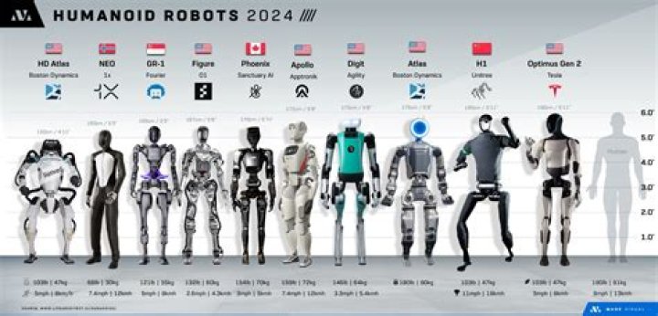What country has the best robots?