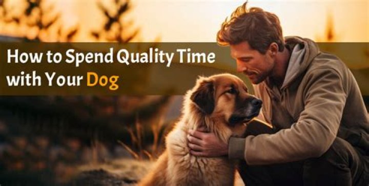What counts as quality time with your dog?