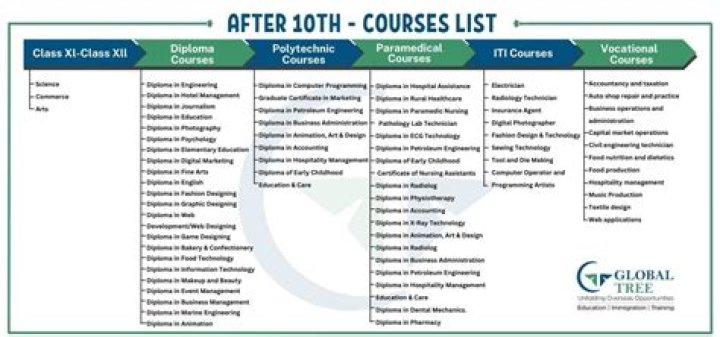 What courses does FET colleges offer?