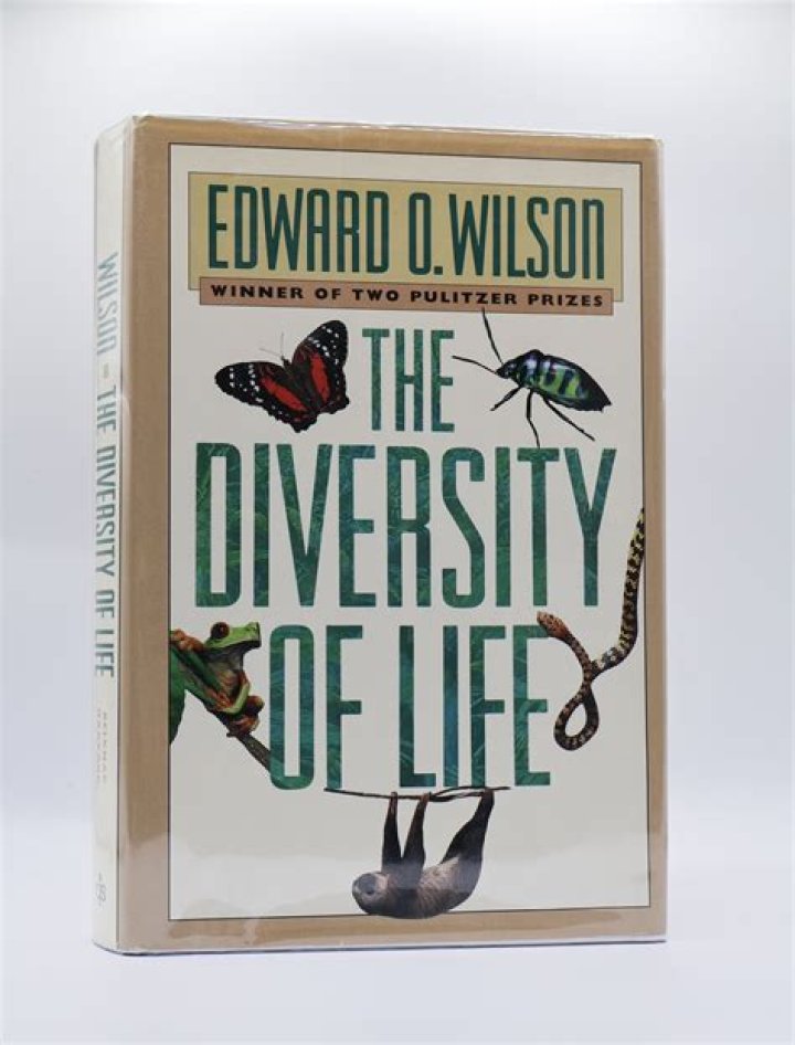 What did Edward O Wilson believe about biodiversity?
