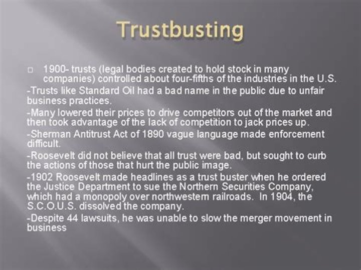 What did Roosevelt do to the trusts and railroads?