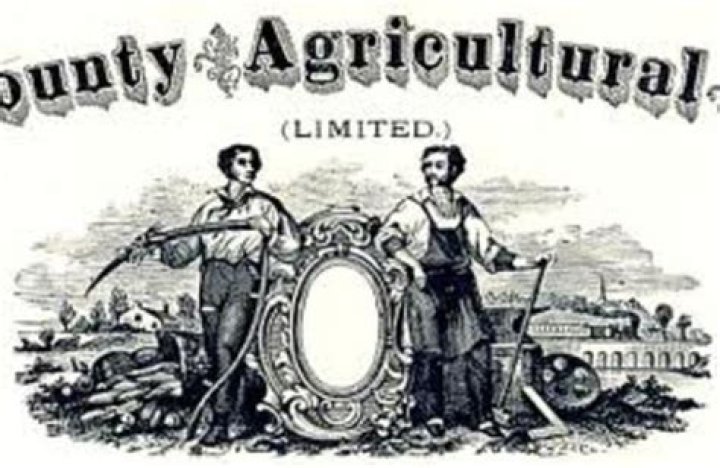 What did the Agricultural Adjustment Act do?