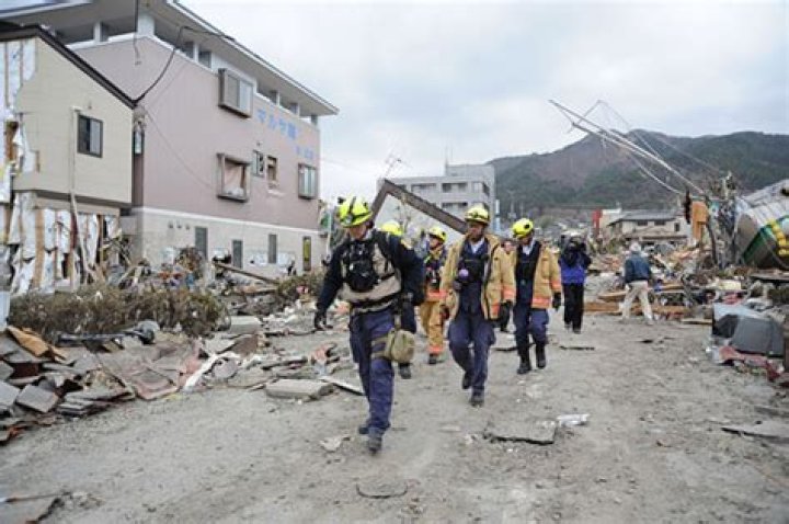 What did the Japanese government do after the earthquake 2011?