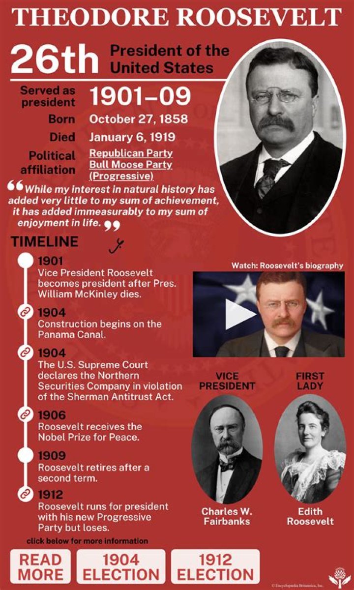 What did Theodore Roosevelt accomplish as president?