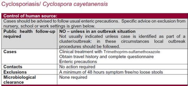 What disease does Cyclospora cayetanensis cause?
