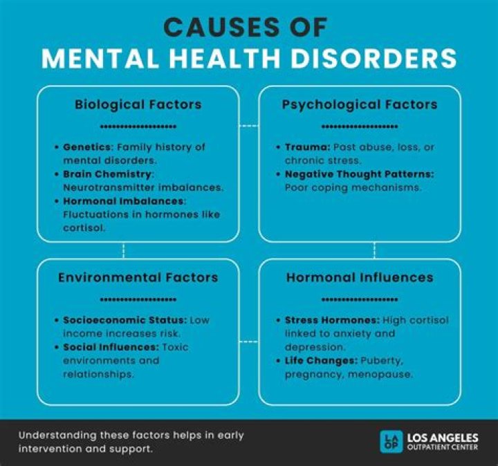 What diseases can cause mental illness?