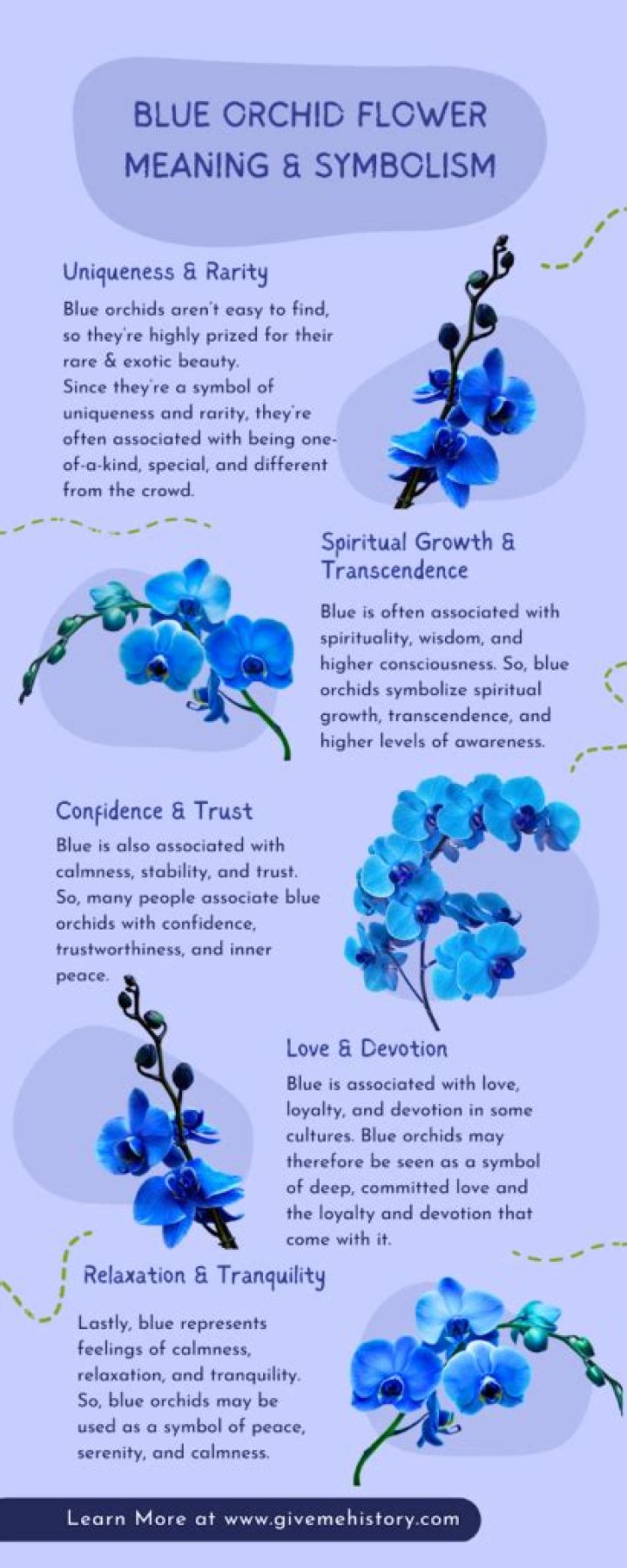 What do blue orchids symbolize?