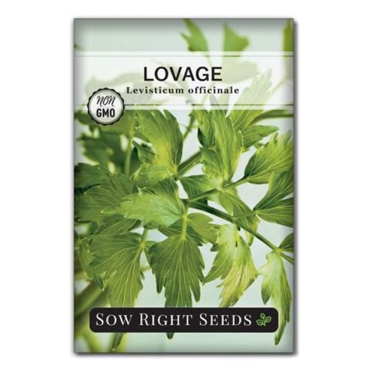 What do I do with lovage seeds?