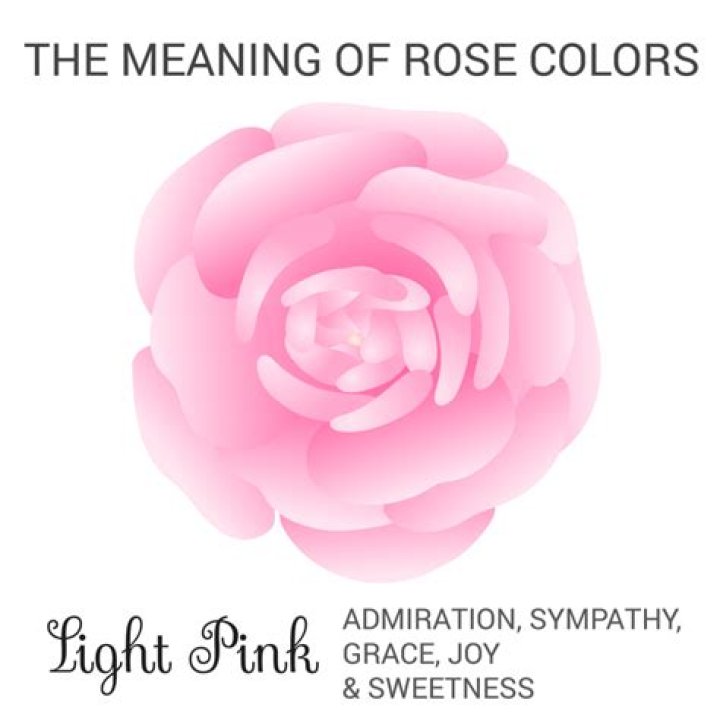 What do light pink roses symbolize?