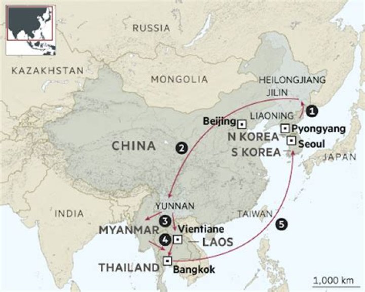What do North Korean defectors think of crash landing on you?