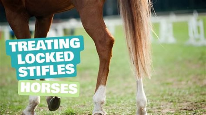 What do you do if your horse has a locked stifle?
