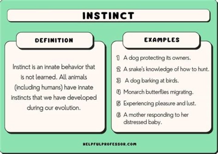 What do you mean by enacted?