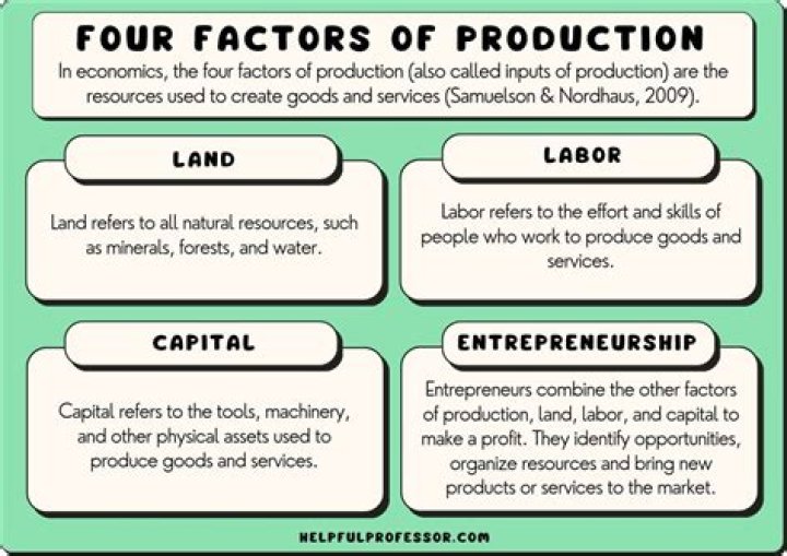 What do you mean by large scale of production explain its advantages and disadvantages?