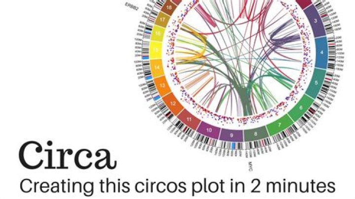 What does a circos plot show?