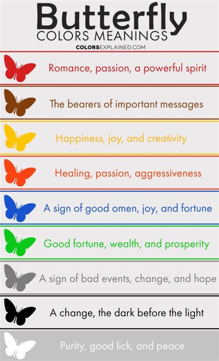 What does a colorful butterfly symbolize?