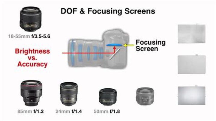 What does a focusing screen do?