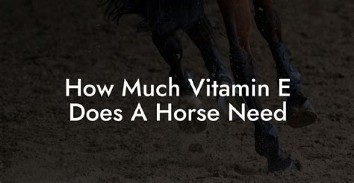 What does a horse need in Sims 3?