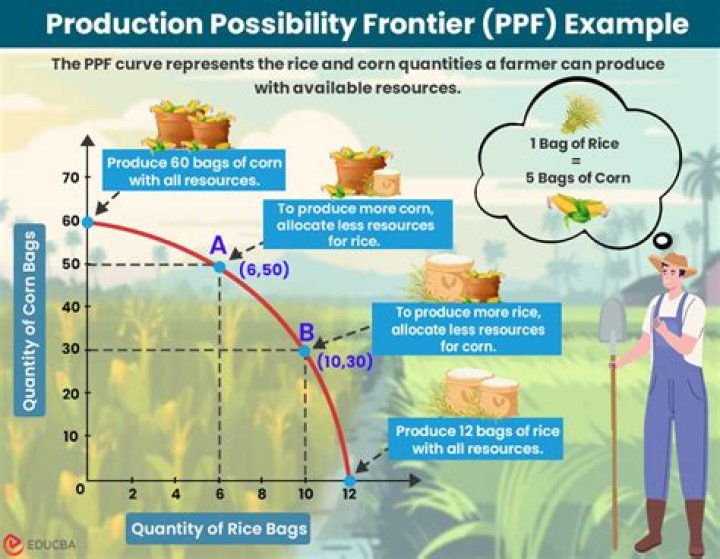 What does a production possibilities frontier PPF show?