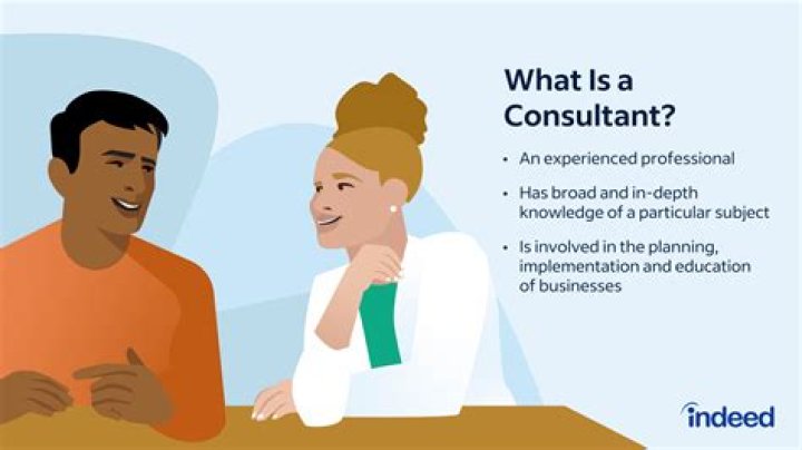 What does a QMS consultant do?