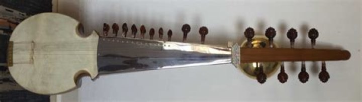 What does a sarod look like?