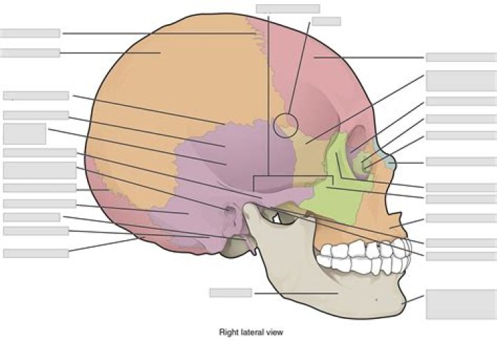 What does a skull with a halo mean?
