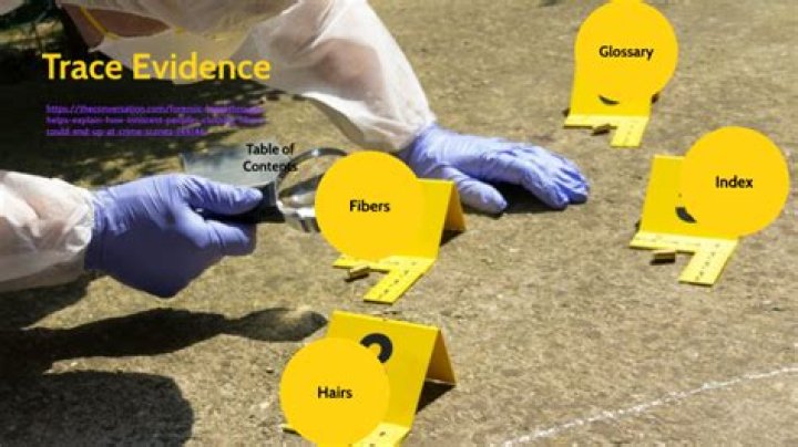 What does a trace evidence analyst do?