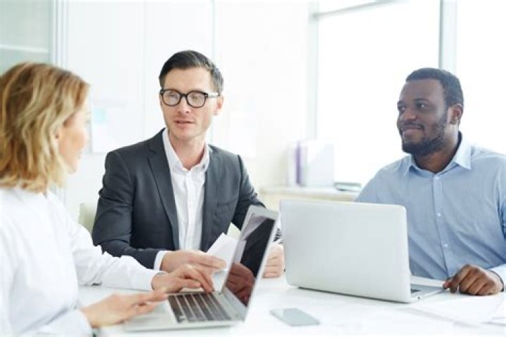 What does a workplace investigator do?