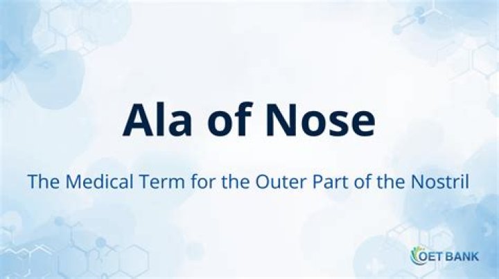 What does Ala Sorrento mean?
