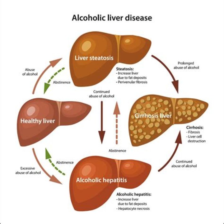 What does alcohol do to catalase?