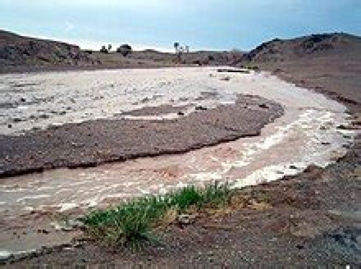 What does an arroyo look like?
