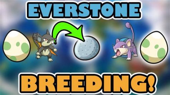 What does an everstone do for breeding?