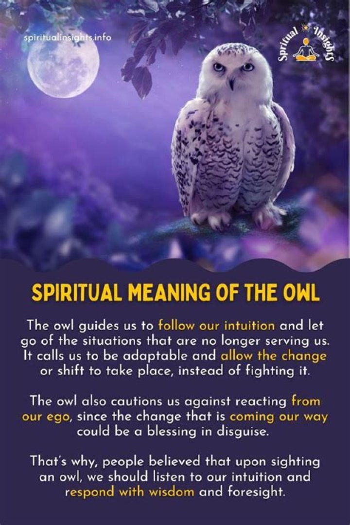 What does an owl mean after someone dies?