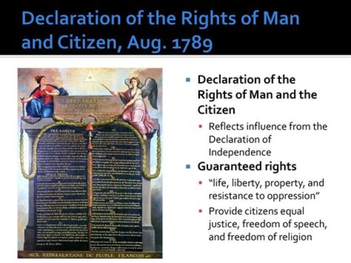What does Article 6 of the Declaration of the Rights of Man mean?